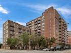 1-web-or-mls-550-W-Harrison-St-Unit-353_001