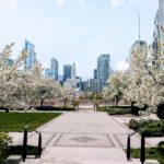 Chicago real estate market update