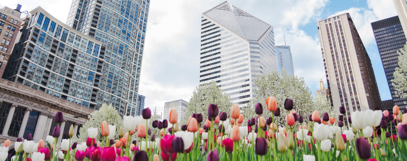 Spring housing market update - chicago real estate